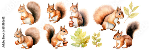 Watercolor Set of squirrel and acorn walnut hazelnut, isolated on transparent background photo