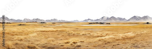 Vast treeless plain in colder climate, cut out photo