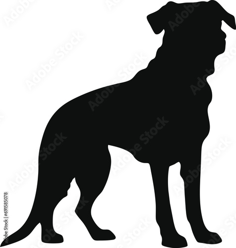 Dog Silhouette graphic design black with white background breed husky puppy golden retriever bulldog german shepard border collie york