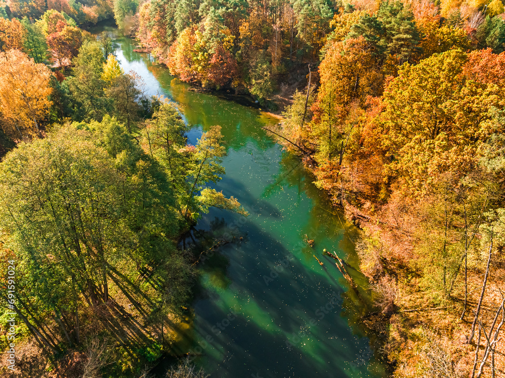 Colorful autumn trees at sunrise at the Brda River, Poland.
