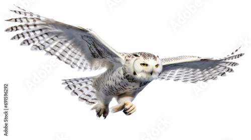 a Snowy Owl, flying, 3/4 view, isolated, and transparent PNG in a Nature-themed, photorealistic illustration. Generative ai © Purple Penguin GFX
