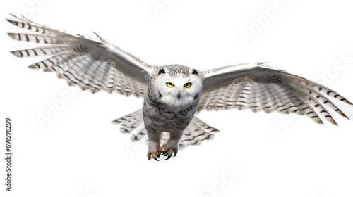 a Snowy Owl, flying, 3/4 view, isolated, and transparent PNG in a Nature-themed, photorealistic illustration. Generative ai