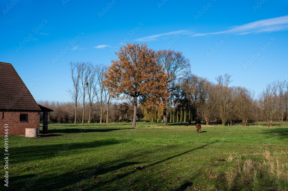 Colorful farmland, trees and sky in winter around Londerzeel, Brabant Region, Belgium