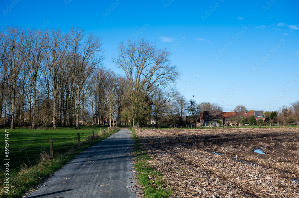 Fototapeta premium Harvested golden agriculture fields of corn over blue sky around Imde, Belgium