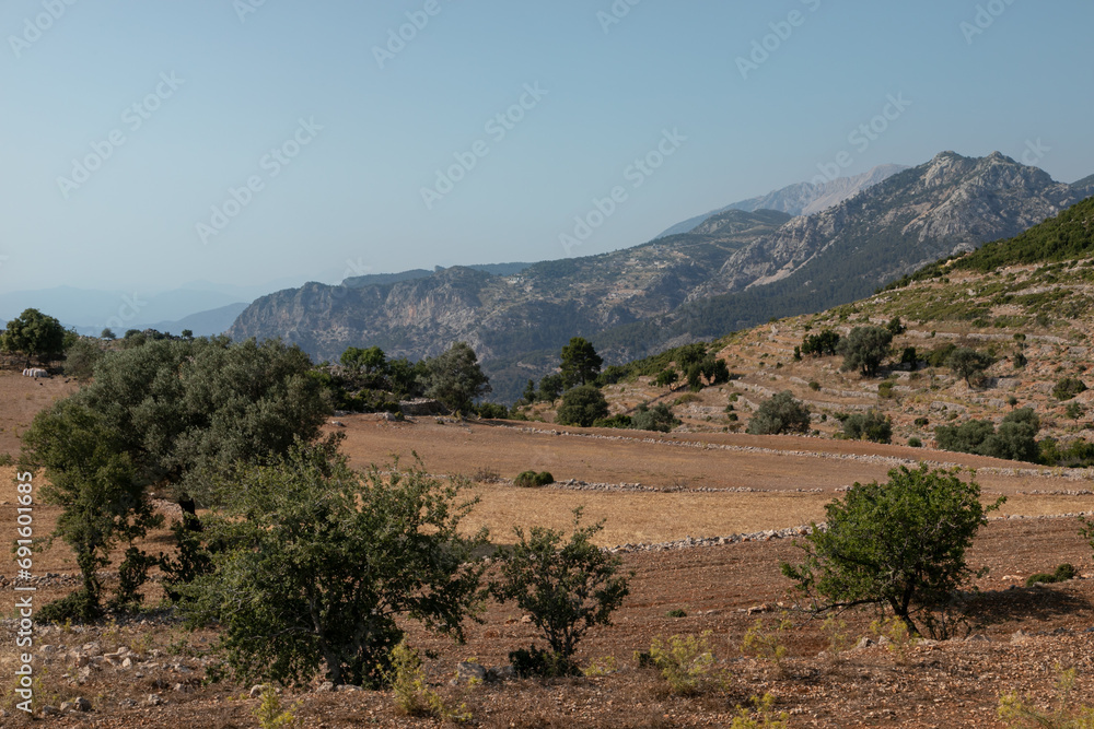 Mediterranean rocky landscape. Mountains in the distance. Multilevel Yellow grass terraces with stone fences. Turkish countryside. Mediterranean rocky landscape. Mountains in the distance. Multilevel Yellow grass terraces with stone fences. Turkish countryside.