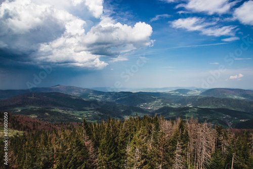 Beautiful panorama of the mountains with a meadow and a pine forest on the background of dramatic sky