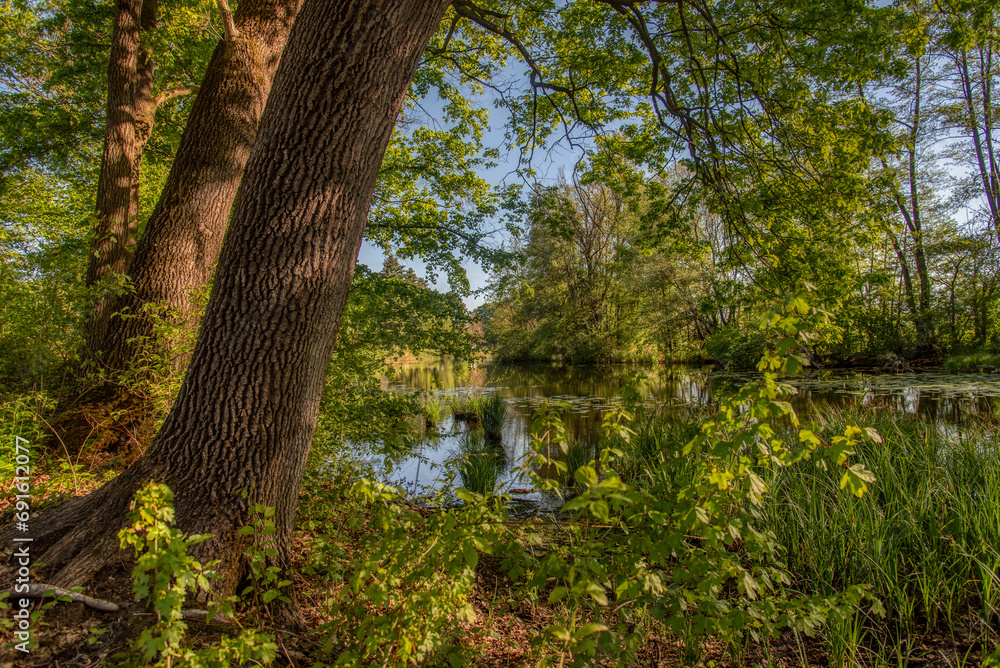 Obraz premium Bobri, Dolnja Bistrica is a meander from river Mura