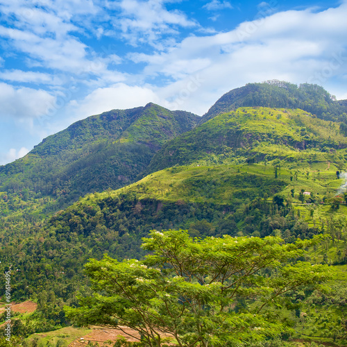 Tropical forest and rural landscape on the slopes of mountains. Sri Lanka. © alinamd