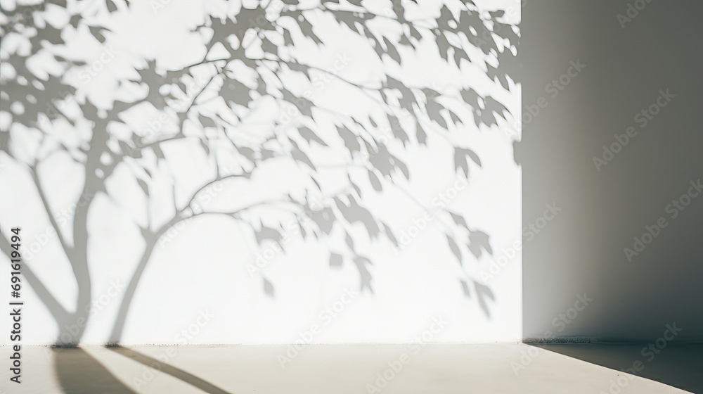 Fototapeta premium Shadows of a tree on a white wall
