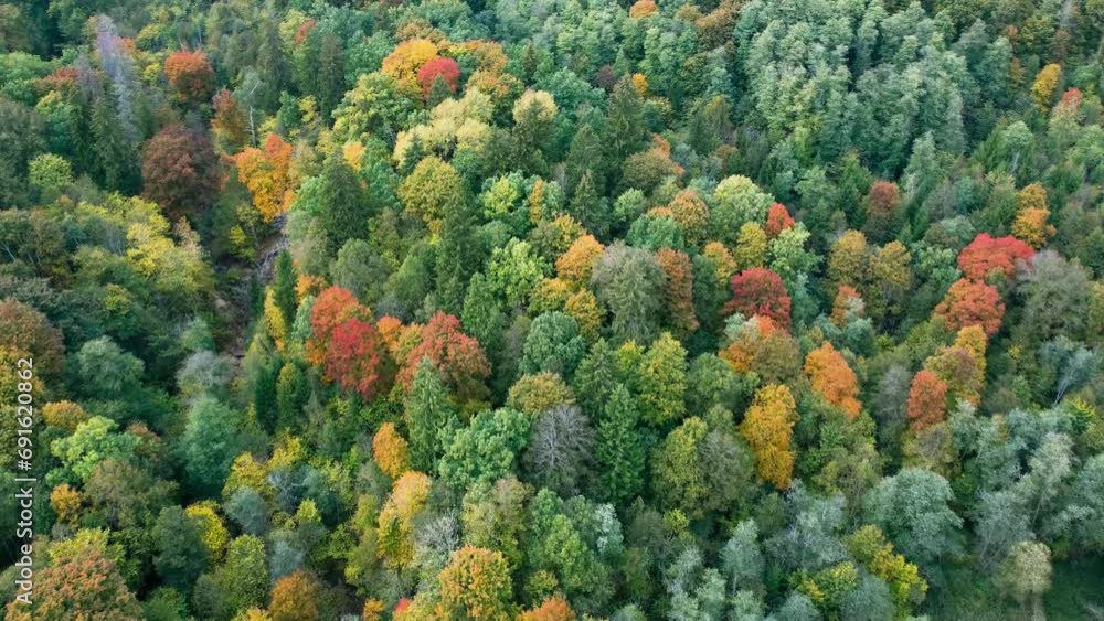 Aerial Autumn View of Trees in Verkiai Regional Park. Vilnius, Lithuania Aerial Autumn View of Trees in Verkiai Regional Park. Vilnius, Lithuania