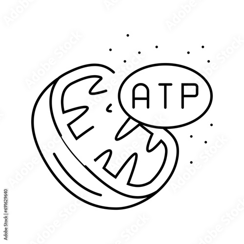 cellular respiration biochemistry line icon vector. cellular respiration biochemistry sign. isolated contour symbol black illustration