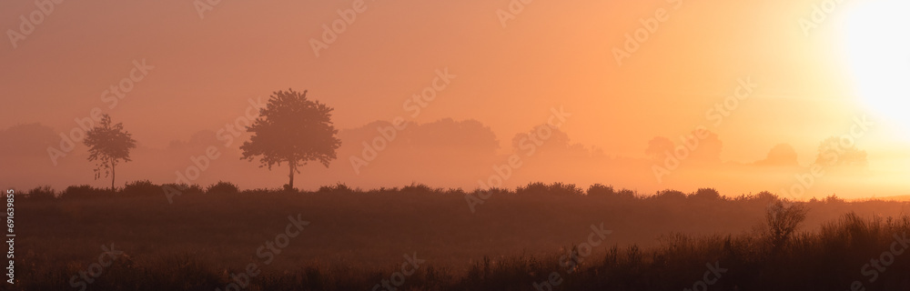 Field with trees in fog, green burial, natural burial, Field with trees in fog, green burial, natural burial,