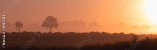 Field with trees in fog, green burial, natural burial, 