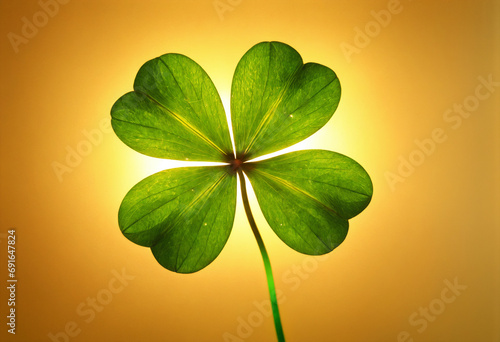 clover from close up - st patricks day symbol