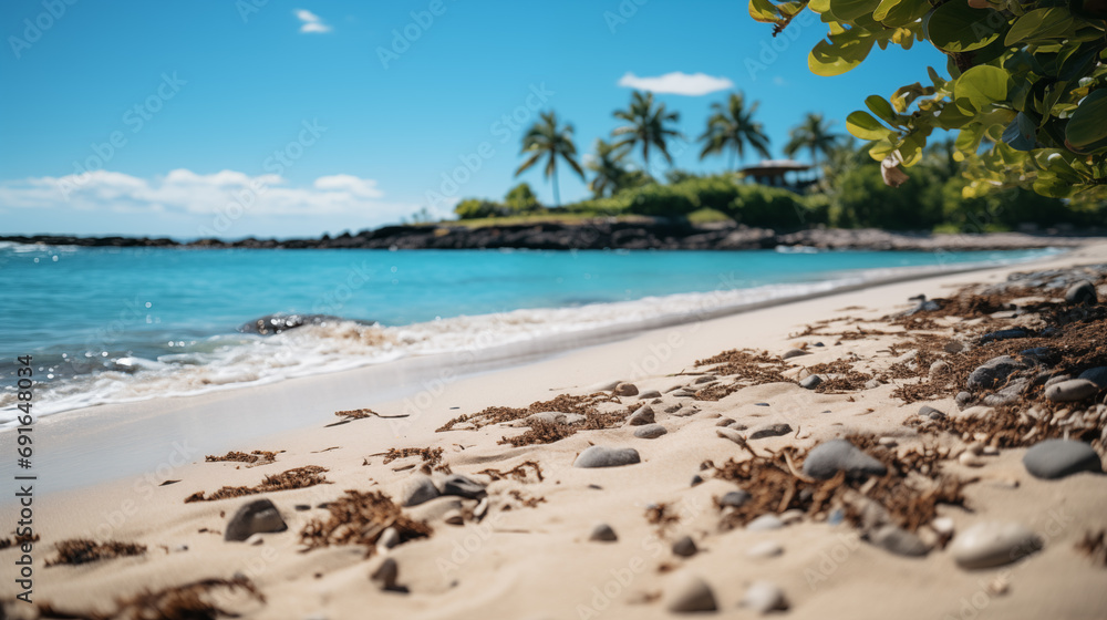 Deserted sunny beach with palms, yellow sand and light blue water. Concept of a paradise