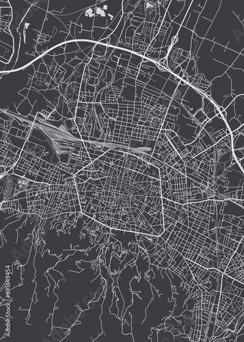 City map Bologna, monochrome detailed plan, vector illustration
