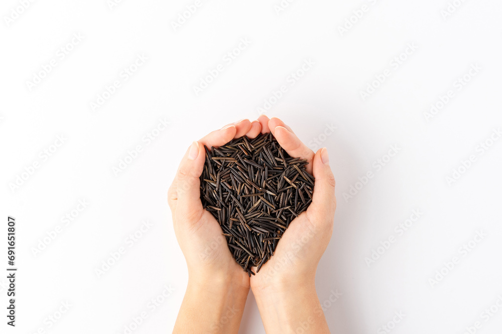 Overhead shot of woman’s hands holding wild rice grains isolated on white background Overhead shot of woman’s hands holding wild rice grains isolated on white background