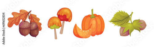 Thanksgiving Autumn Holiday Symbol and Object Vector Set