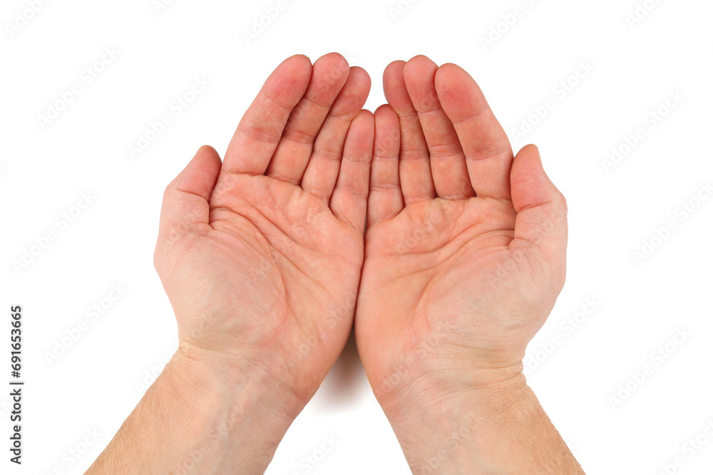 Opened empty palms on a white background isolate Opened empty palms on a white background isolate