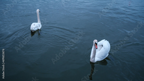 Danube River in Vienna