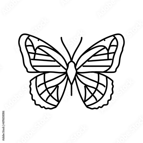 viceroy summer line icon vector. viceroy summer sign. isolated contour symbol black illustration