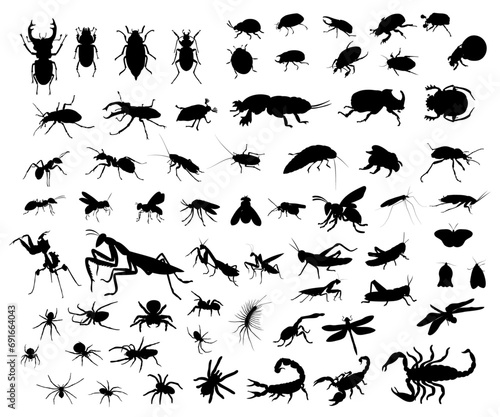 Big set of insect silhouettes. Vector illustration. © Евгений Горячев