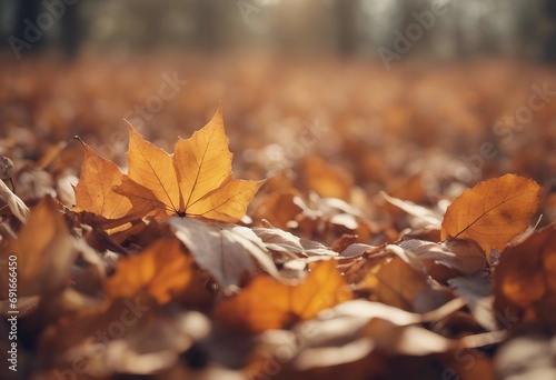 Fall background with various dry leaves in neutral pastel shades arranged in