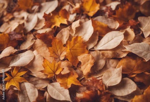 Fall background with various dry leaves in neutral pastel shades arranged in