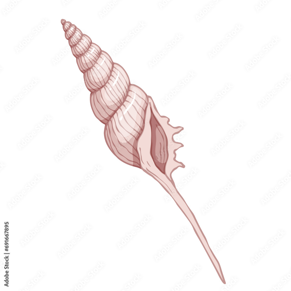 Seashell.Summer marine decor. Vector graphics. Seashell.Summer marine decor. Vector graphics.