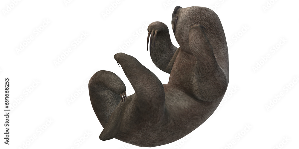 Sloth isolated on a Transparent Background Sloth isolated on a Transparent Background