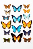 Colorful butterflies gathered on a white surface. Perfect for nature-themed designs or educational materials