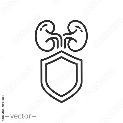 shield for kidney icon, protection and healthy kidneys, thin line symbol on white background - editable stroke vector illustration eps10