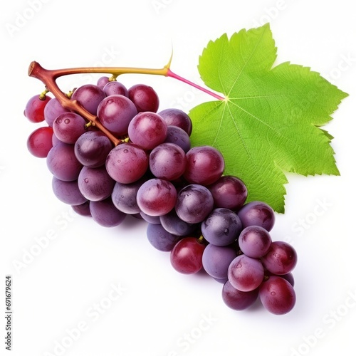 portrait of fresh grapes with the stems and leaves still on