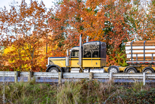 Beige and black classic big rig semi truck with low profile extended cad transporting lumber wood on the flat bed semi trailer running on the autumn road with red maple trees