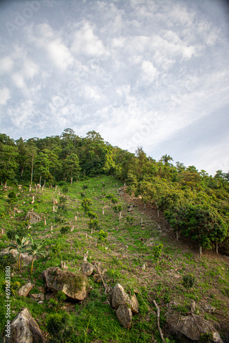 Paisajes de Colombia - Cundinamarca - Jerusalén vereda la Virgen