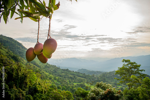 Paisajes de Colombia - Cundinamarca - Jerusalén vereda la Virgen