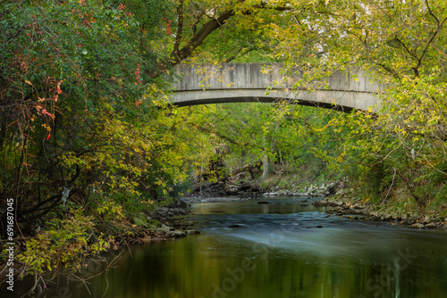 bridge over the river