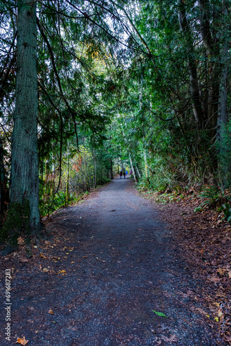 path in the woods