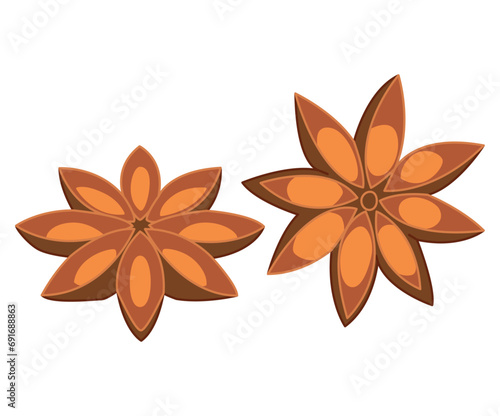 Star anise on white background. Culinary ingredient for baking and drinks, oriental spice badian, popular spice. Top view. vector illustration.