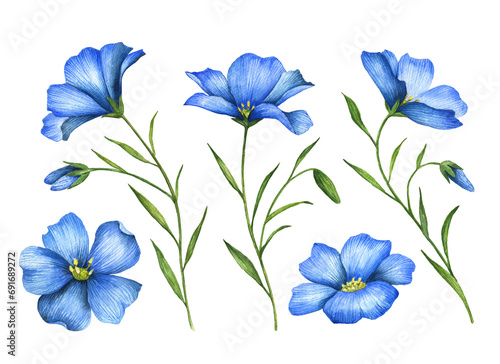 Watercolor set with flax flowers isolated on a white background, hand drawn illustration.  photo