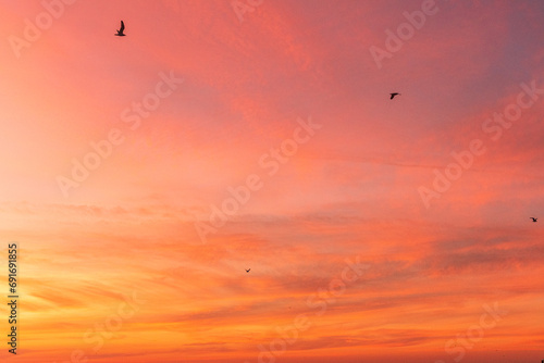 Avon By the Sea, New Jersey - A flock of shore birds and seagulls silhouetted against the bright sunrise clouds over the Atlantic Ocean
