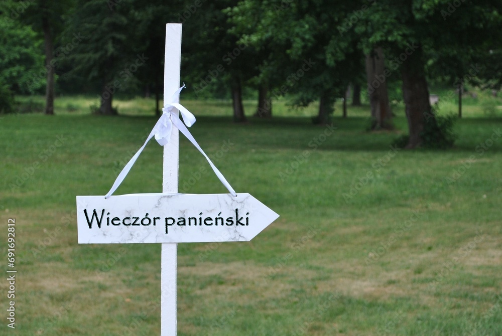 Wieczór panieński