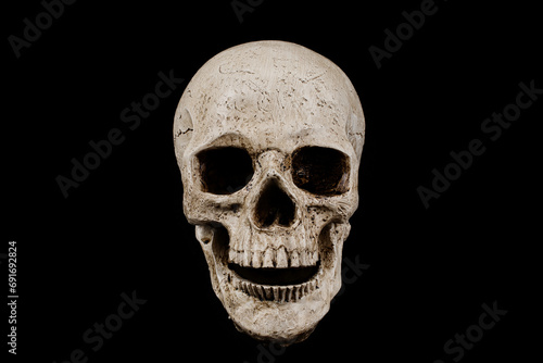 Frontal View of Skull Decoration with Copy Space on Black Background