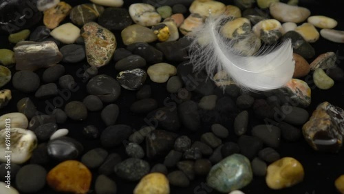 White swan feather falls on the water with black sea pebbles, slow motion  photo