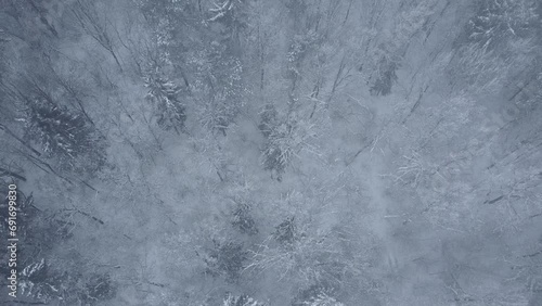 Slow motion of a forest covered with snow from aerial view. Aerial view of trees covered with snow in a slow motion.  Frozen winter forest. photo