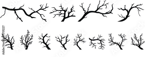 Vector collection of black silhouettes of tree branches isolated on white background