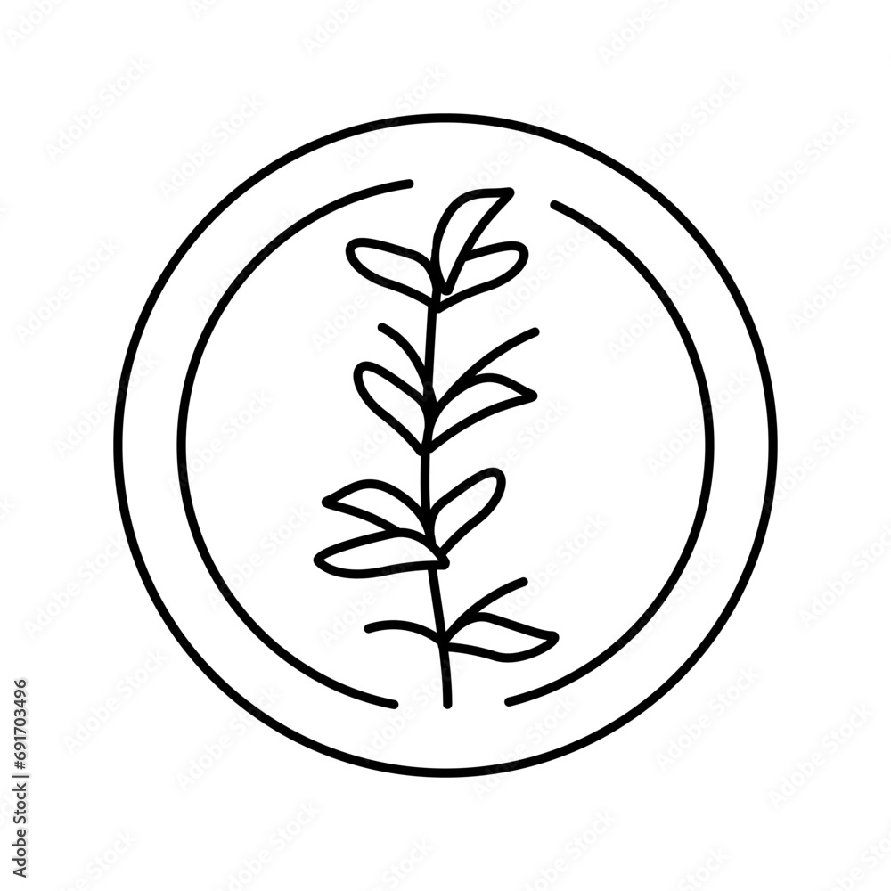thyme cosmetic plant line icon vector. thyme cosmetic plant sign. isolated contour symbol black illustration