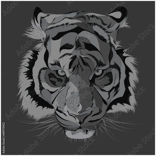 Ilustracion de un tigre de bengala photo