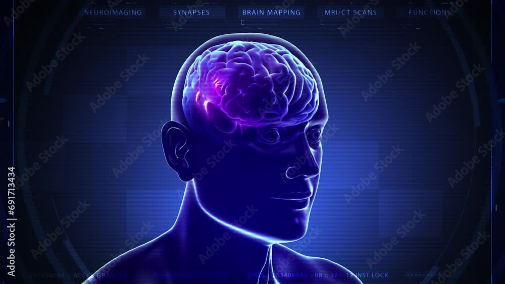 3D Animation of Human Head Rotating. Technology Interface. Electrical Impulses Shinning inside the brain. Synapse, Neuroimaging, Brain Mapping 3D Animation of Human Head Rotating. Technology Interface. Electrical Impulses Shinning inside the brain. Synapse, Neuroimaging, Brain Mapping