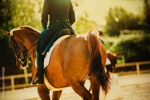 A sorrel horse with a beautiful tail and a rider in the saddle gallops around the arena on a sunny warm summer day. Equestrian sports and horse riding in the fresh air. Gallop.